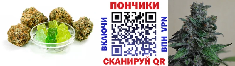 наркошоп  мега как войти  Canna-Cookies марихуана  Анива 