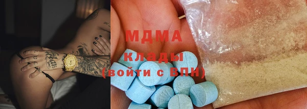 стаф Алзамай