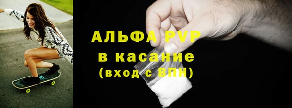 стаф Алзамай